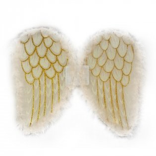 Набор для праздника "Крылья ангела" фото книги