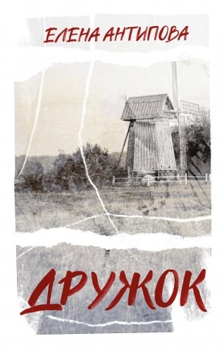 Дружок фото книги