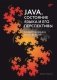 Java. Состояние языка и его перспективы фото книги маленькое 2
