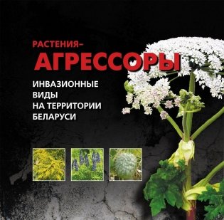 Растения-агрессоры. Инвазионные виды на территории Беларуси фото книги