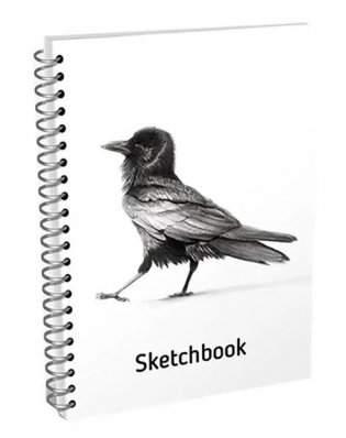 Скетчбук "Ворона" A6 (Арт. 03539). 100 листов фото книги