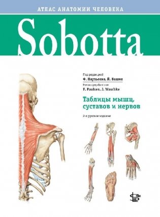 Sobotta. Таблицы мышц, суставов и нервов фото книги