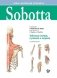 Sobotta. Таблицы мышц, суставов и нервов фото книги маленькое 2