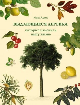 Выдающиеся деревья, которые изменили нашу жизнь фото книги